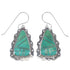 Silver Turquoise Southwest Hook Dangle Earrings YX78973