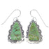 Sterling Silver Turquoise Southwest Hook Dangle Earrings YX78978