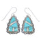 Turquoise Opal Southwest Silver Hook Dangle Earrings QX72313