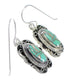 Southwest Silver Turquoise Opal Hook Dangle Earrings QX81849