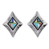 Southwest Sterling Silver Multicolor Inlay Post Earrings QX71972