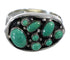 Southwestern Turquoise And Genuine Sterling Silver Ring Size 5-3/4 YX84538