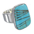 Turquoise Sterling Silver Ring Size 4-3/4 AX88246