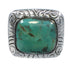 Turquoise Sterling Silver Southwest Jewelry Ring Size 4-3/4 YS63245