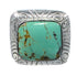 Turquoise Southwestern Jewelry Sterling Silver Ring Size 5-1/2 YS63262