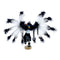 Navajo American Indian Eagle Kachina Doll SN20005