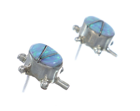 Opal Sterling Silver Turtle Post Earrings SN20459