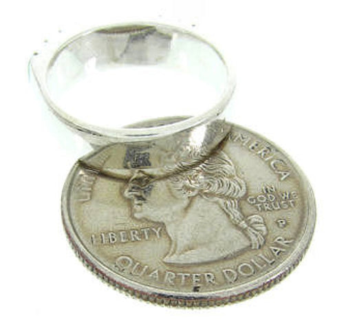 Sterling Silver Mother Of Pearl Turquoise Ring Size 7-1/2 AW63618