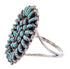 Sterling Silver And Turquoise Southwest Ring Size 5 AW64476