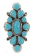 Silver Southwest Turquoise Ring Jewelry Size 5-1/4 IS61725