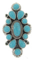 Southwest Sterling Silver Turquoise Ring Jewelry Size 4-1/2 IS61731