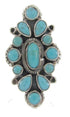Silver Turquoise Ring Southwest Jewelry Size 4-1/2 IS61768
