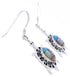 Multicolor Native American or Pueblo Design Turtle Earrings MW75819