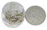 Oyster Shell Southwest Ring Size 8-1/4 EX43738