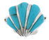 Seashell Jewelry Silver Turquoise Ring Size 8-1/2 FX22332
