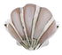 Pink Shell Seashell Silver Ring Size 8-1/2 FX22357