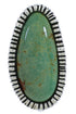 Sterling Silver And Turquoise Jewelry Ring Size 4-3/4 PX41405