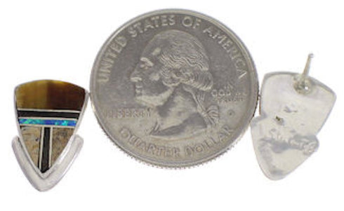 Silver And Multicolor Jewelry Post Earrings PX43497