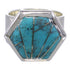 Southwest High Quality Turquoise Ring Size 8-3/4 EX40552