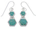 Southwest Turquoise Sterling Silver Hook Dangle Earrings FX31036