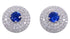 Blue White CZ Sterling Silver Post Earrings Jewelry AS55258