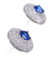 Blue White CZ Sterling Silver Post Earrings Jewelry AS55258