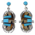 Tiger Eye Multicolor Sterling Silver Post Dangle Earrings NS33204