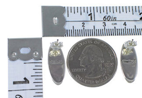 Turquoise Multicolor Sterling Silver Jewelry Post Earrings DS39350