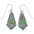 Turquoise And Opal Southwest Hook Earrings CX45341