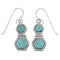 Southwestern Turquoise Hook Dangle Earrings Jewelry CX46951