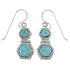 Southwestern Turquoise Hook Dangle Earrings Jewelry CX46951
