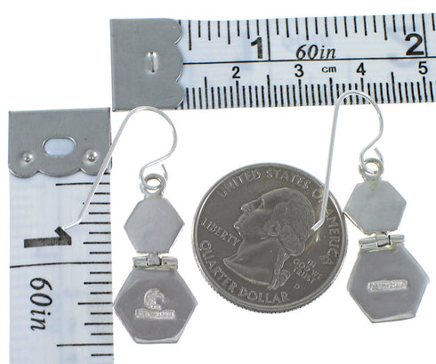 Southwestern Turquoise Hook Dangle Earrings Jewelry CX46951