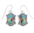 Sterling Silver And Multicolor Hook Dangle Earrings RX54704