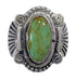 Sterling Silver Turquoise Southwest Ring Size 5 EX56295