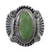 Turquoise Southwest Sterling Silver Ring Size 8-1/4 EX56298