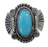 Southwest Turquoise Sterling Silver Ring Size 8-1/4 EX56326