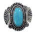 Sterling Silver Turquoise Southwest Ring Size 6-3/4 EX56316