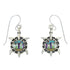 Native American Village Design Multicolor Turtle Silver Water Wave Hook Dangle Earrings WX79060
