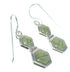 Turquoise Sterling Silver Southwest Hook Dangle Earrings AX78554