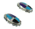 Multicolor Inlay Silver Post Earrings AX71424