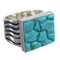 Southwestern Turquoise Inlay And Genuine Sterling Silver Ring Size 7-1/2 YX68754