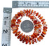 Sterling Silver And Oyster Shell Bead Necklace RX114820