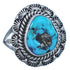 Twisted Sterling Silver Turquoise Native American Ring Size 7-3/4 BX119253