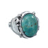 Sterling Silver Turquoise Native American Feather Ring Size 11 AX126143