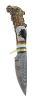 Hand Crafted Hunting Stag Knife Knife Ken Richardson Carve 9" JX126232
