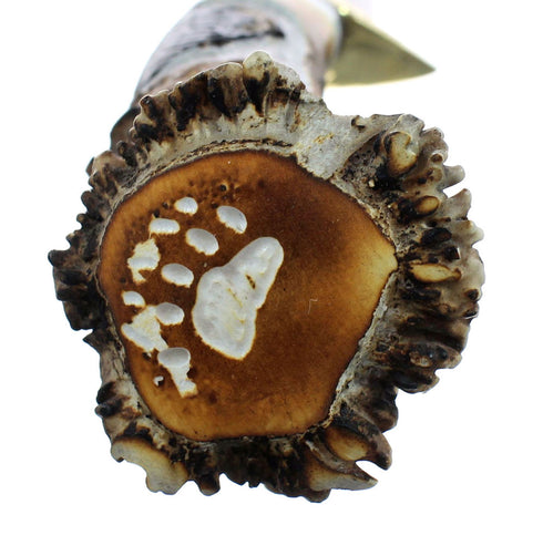 Hand Crafted Hunting Stag Knife Knife Ken Richardson Carve 9" JX126232