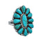 Native American Turquoise Sterling Silver Ring Size 6-1/4 AX126928