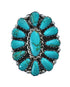 Native American Turquoise Sterling Silver Ring Size 6-1/4 AX126928