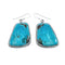 Native American Turquoise Sterling Silver Hook Dangle Earrings AX128142