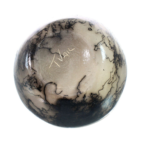 Native American Navajo Horse Hair Pottery JX130483